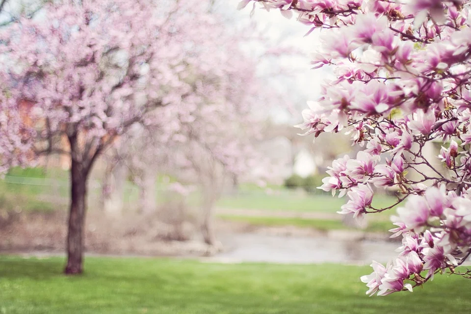 Le Build du Mois: Printemps Féérique